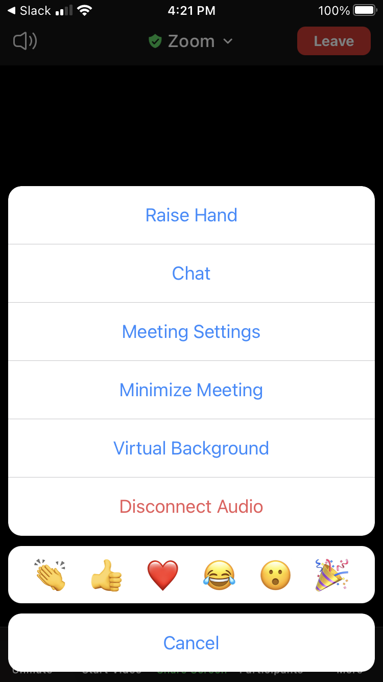 Zoom iOS Disconnect Audio